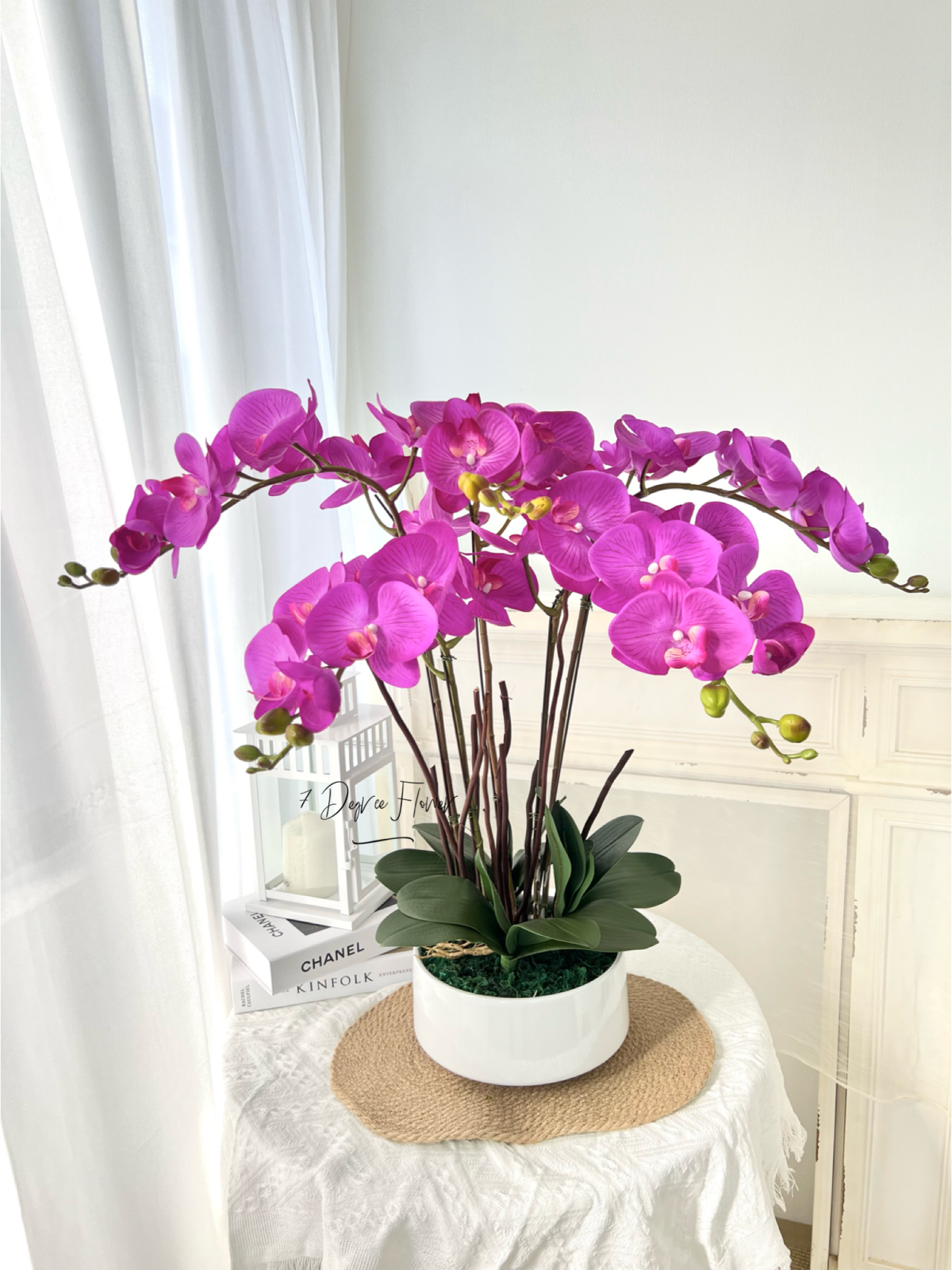Plum Purple Orchid