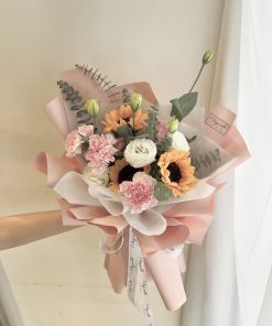 Coral Pink Sunflower