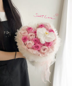 V2 - The One I Adore