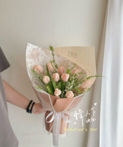 V7 - Apricot Morning